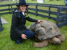 Holsworthy and Stratton Show Fun at the show