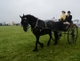 Holsworthy and Stratton Show Equestrian