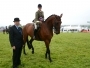 Holsworthy and Stratton Show Equestrian